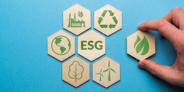 ESG or environmental social governance. The company development of a nature conservation strategy